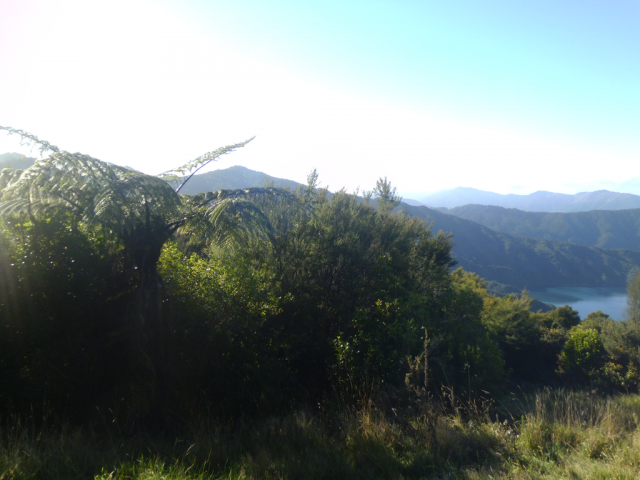2012-05-03 09.55.45 2012-05-03 09.55.45